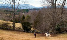USA-Virginia-Blue Ridge Riding Clinic